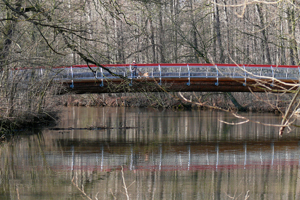 Foto: Franziska Reif